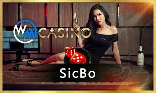 Bingo & Lottery